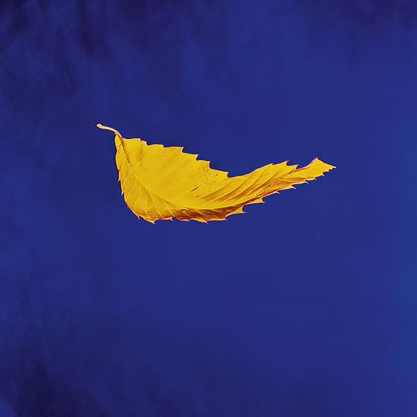 NEW ORDER - Confusion (2020 Remaster) - Amazon.com Music